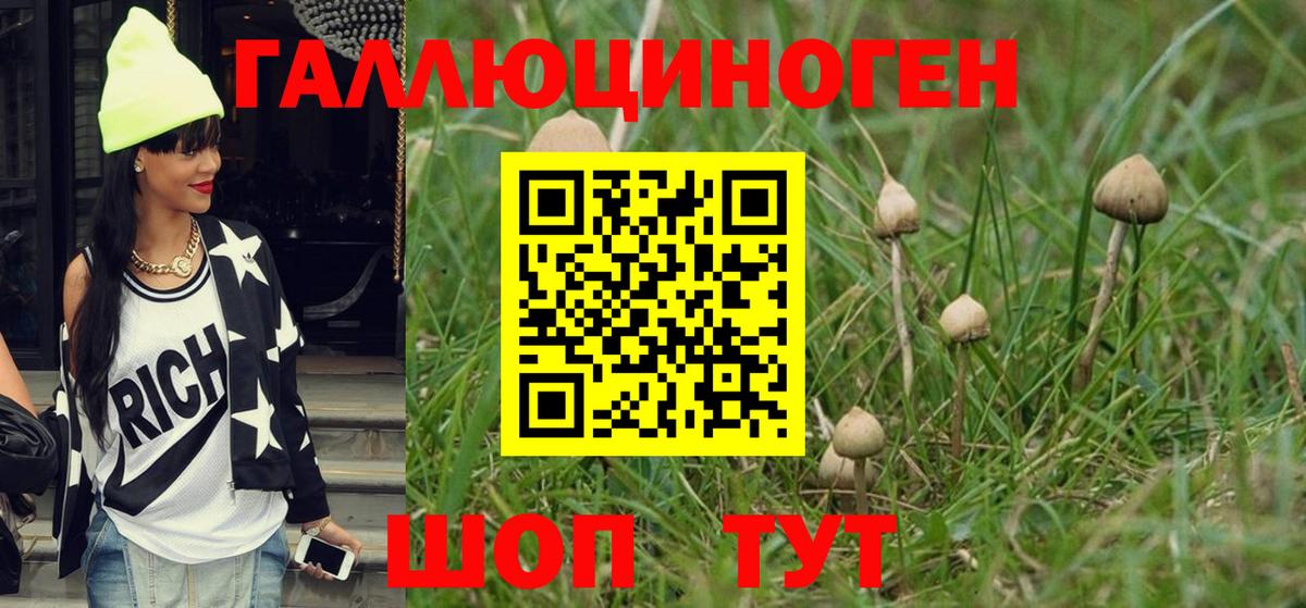 Галлюциногенные грибы MAGIC MUSHROOMS  наркошоп  Новороссийск  Галлюциногенные грибы Psilocybe  Вход с VPN 